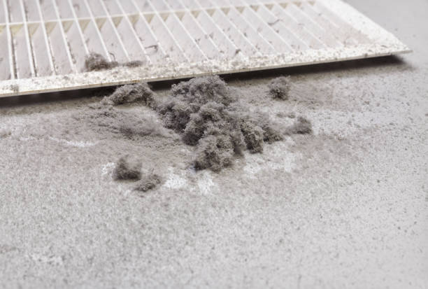 Best Affordable Air Duct Cleaning  in Belmar, NJ