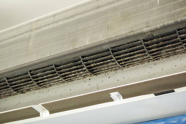 Best Commercial Air Duct Cleaning  in Belmar, NJ