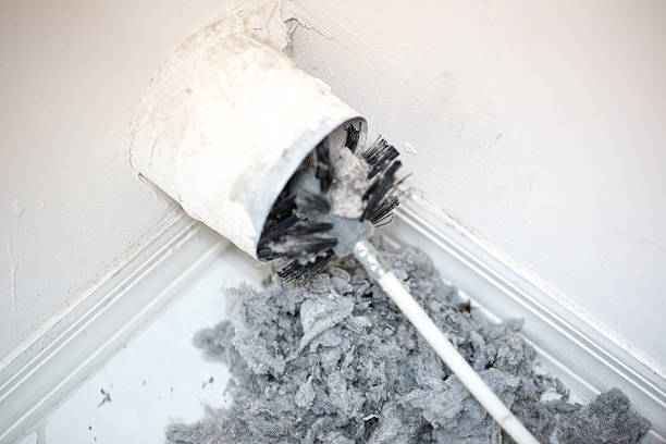 Best Dryer Vent Cleaning Services  in Belmar, NJ